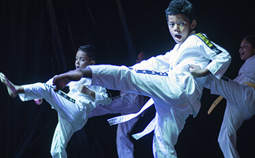 Taekwondo